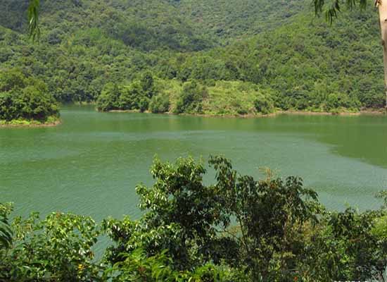 1684919087870791.jpg 1684919087870791.jpg